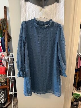 Blue Textured Swiss Dot Long-Sleeve Dress